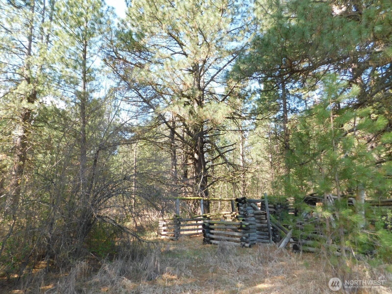 627 Pine Creek Road Bickleton, WA 99322 - Photo 6 of 14 a view of outdoor space with trees