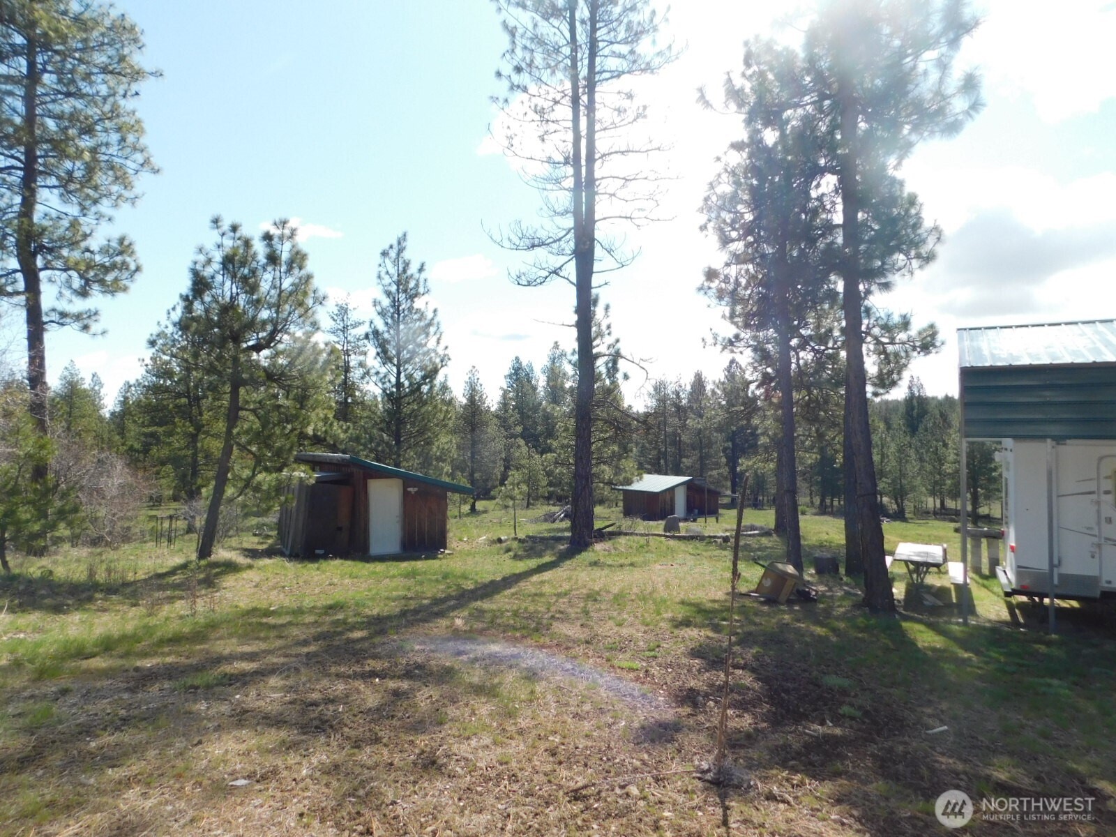 627 Pine Creek Road Bickleton, WA 99322 - Photo 7 of 14 a view of a outdoor space with trees