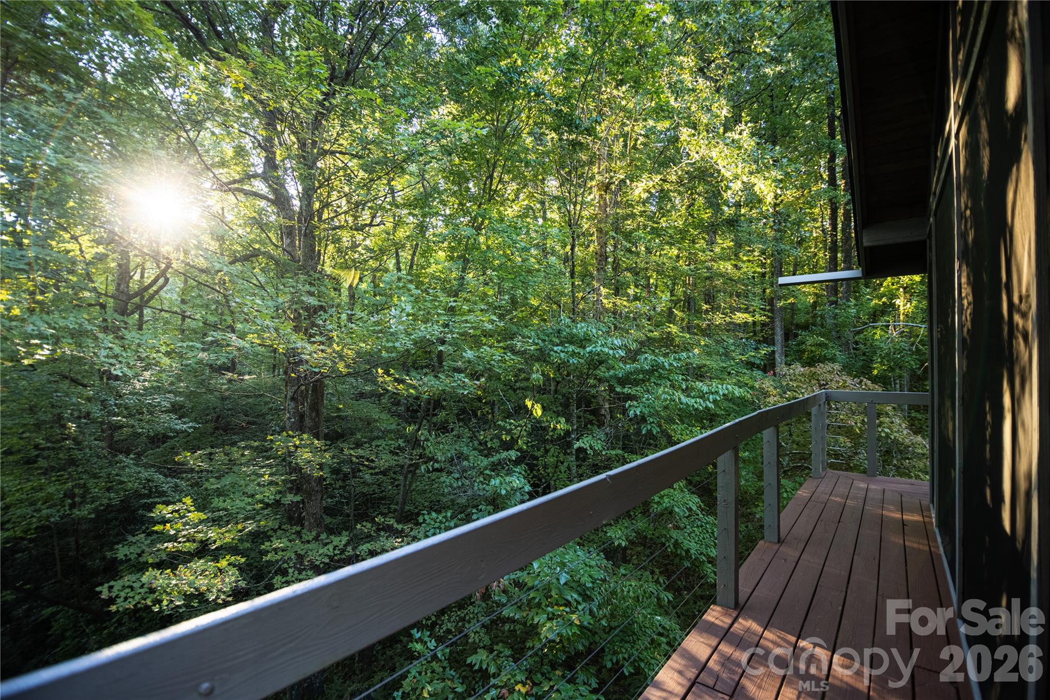 139 Panther Gap Road Brevard, NC 28712 - Photo 41 of 42 Gallery Image 41