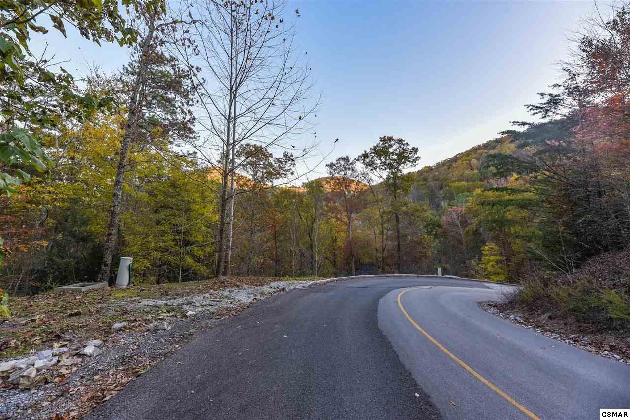 65 Whetstone Road Sevierville, TN 37862 - Photo 11 of 13