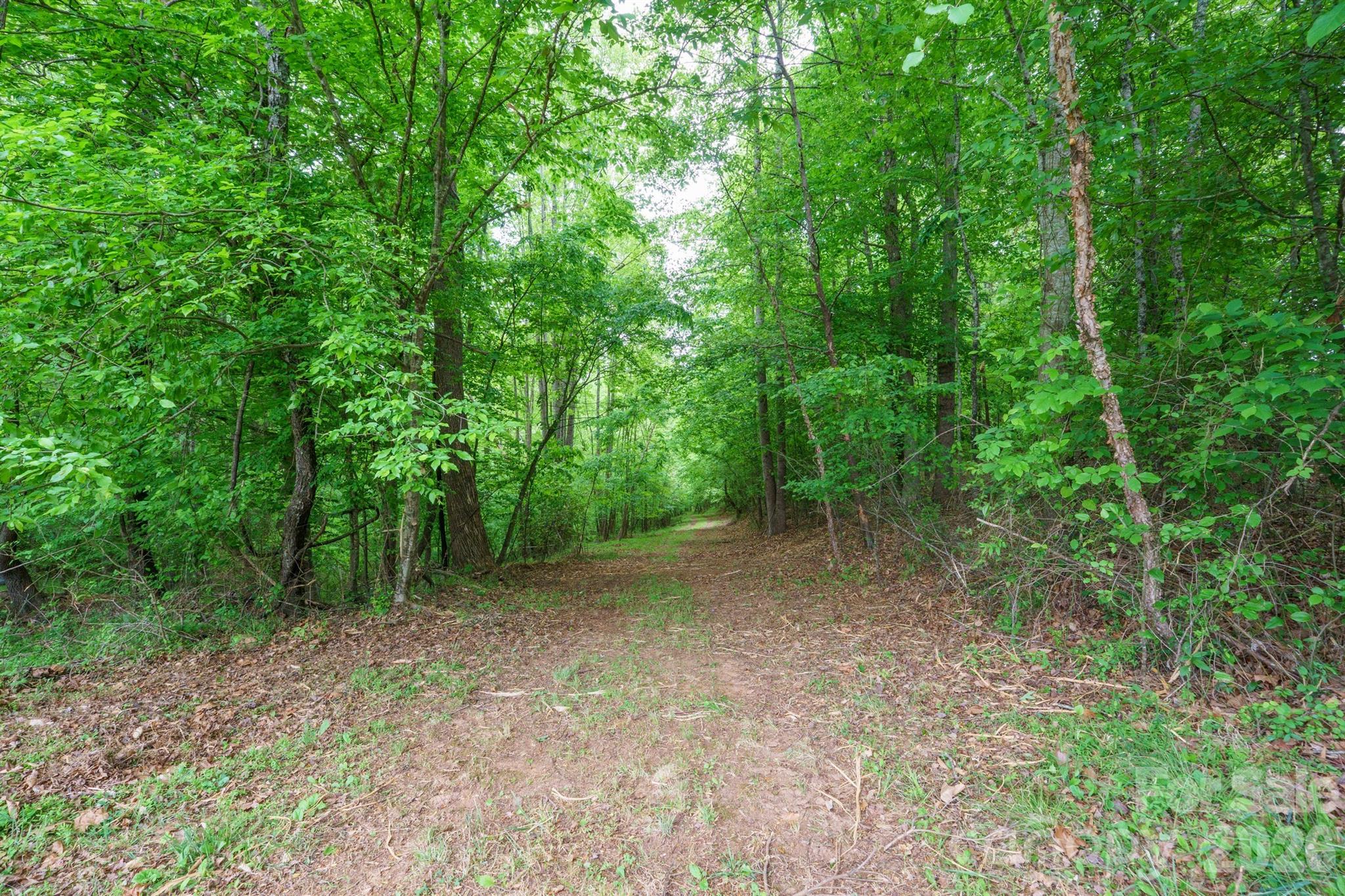 2517 Horseshoe Road Westfield, NC 27053 - Photo 38 of 45