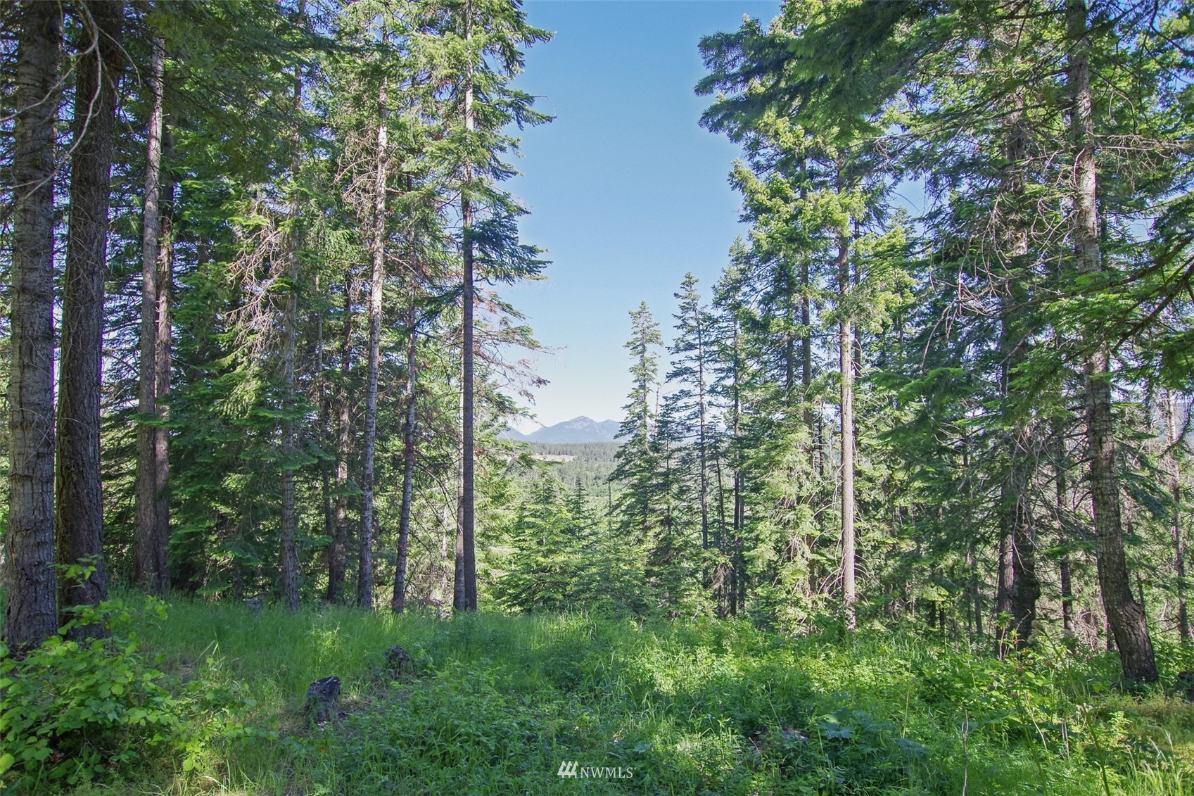 1150 Westside Road Cle Elum, WA 98922 - Photo 15 of 32 Gallery Image 15