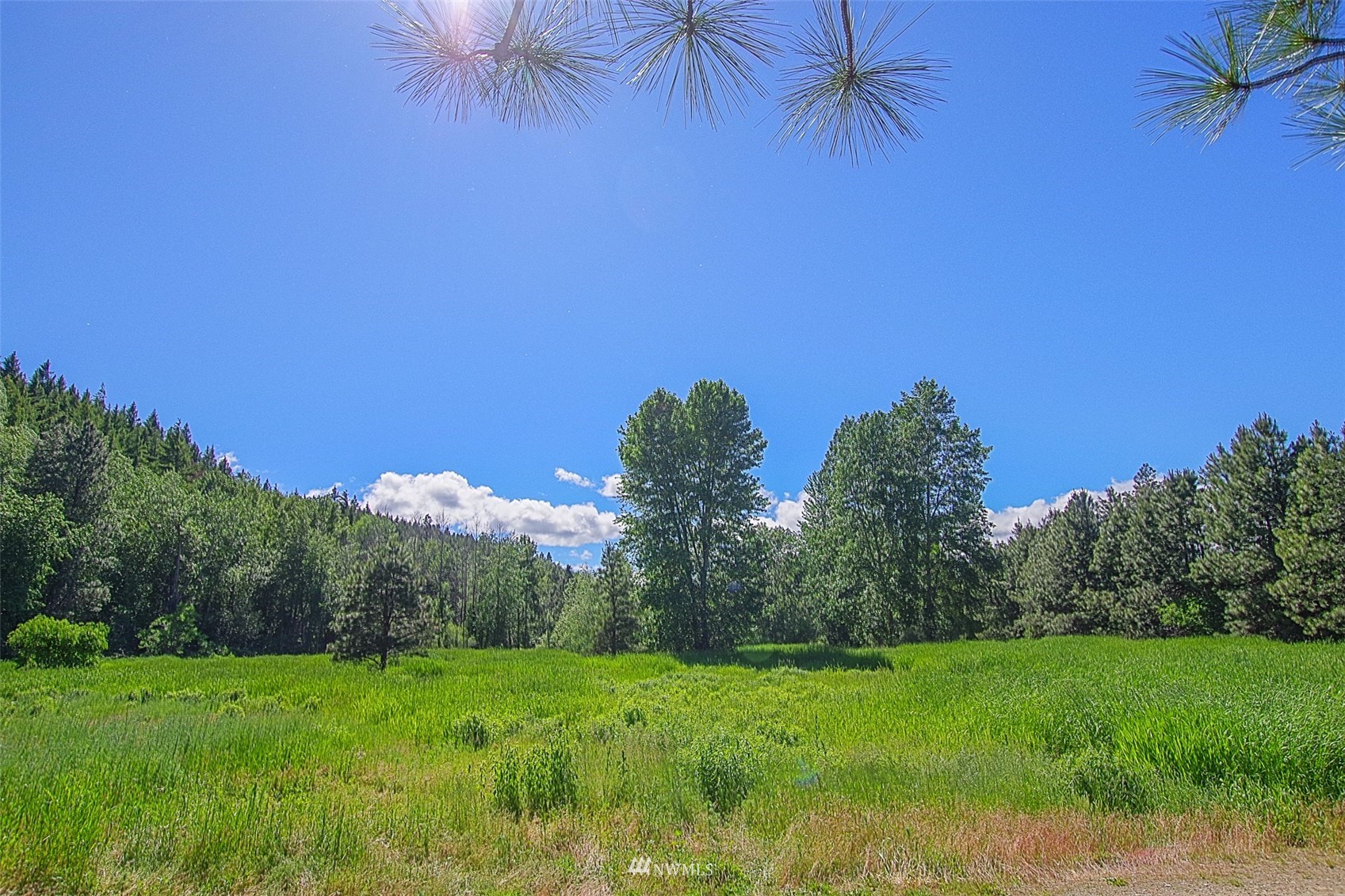 1150 Westside Road Cle Elum, WA 98922 - Photo 3 of 32 Gallery Image 3