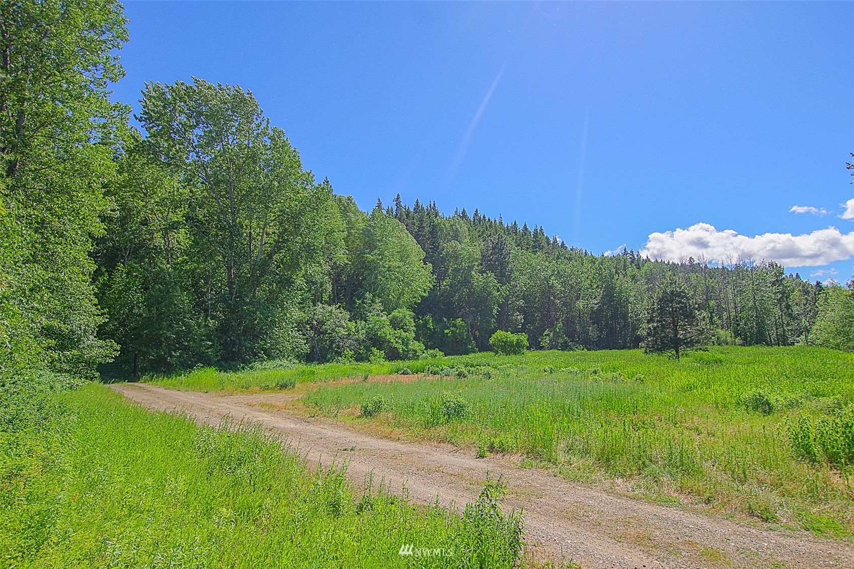 1150 Westside Road Cle Elum, WA 98922 - Photo 6 of 32 Gallery Image 6