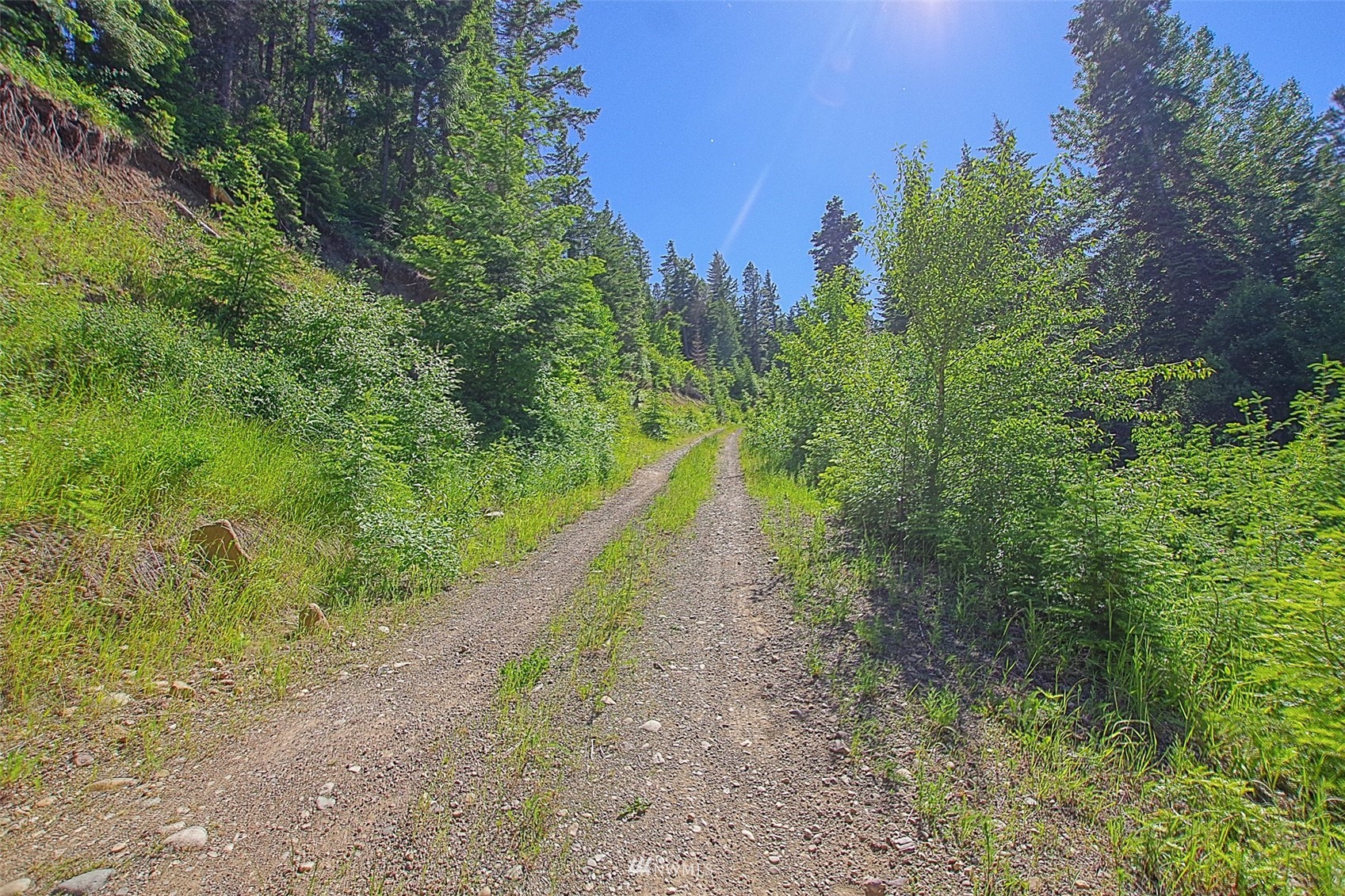 1150 Westside Road Cle Elum, WA 98922 - Photo 9 of 32 Gallery Image 9