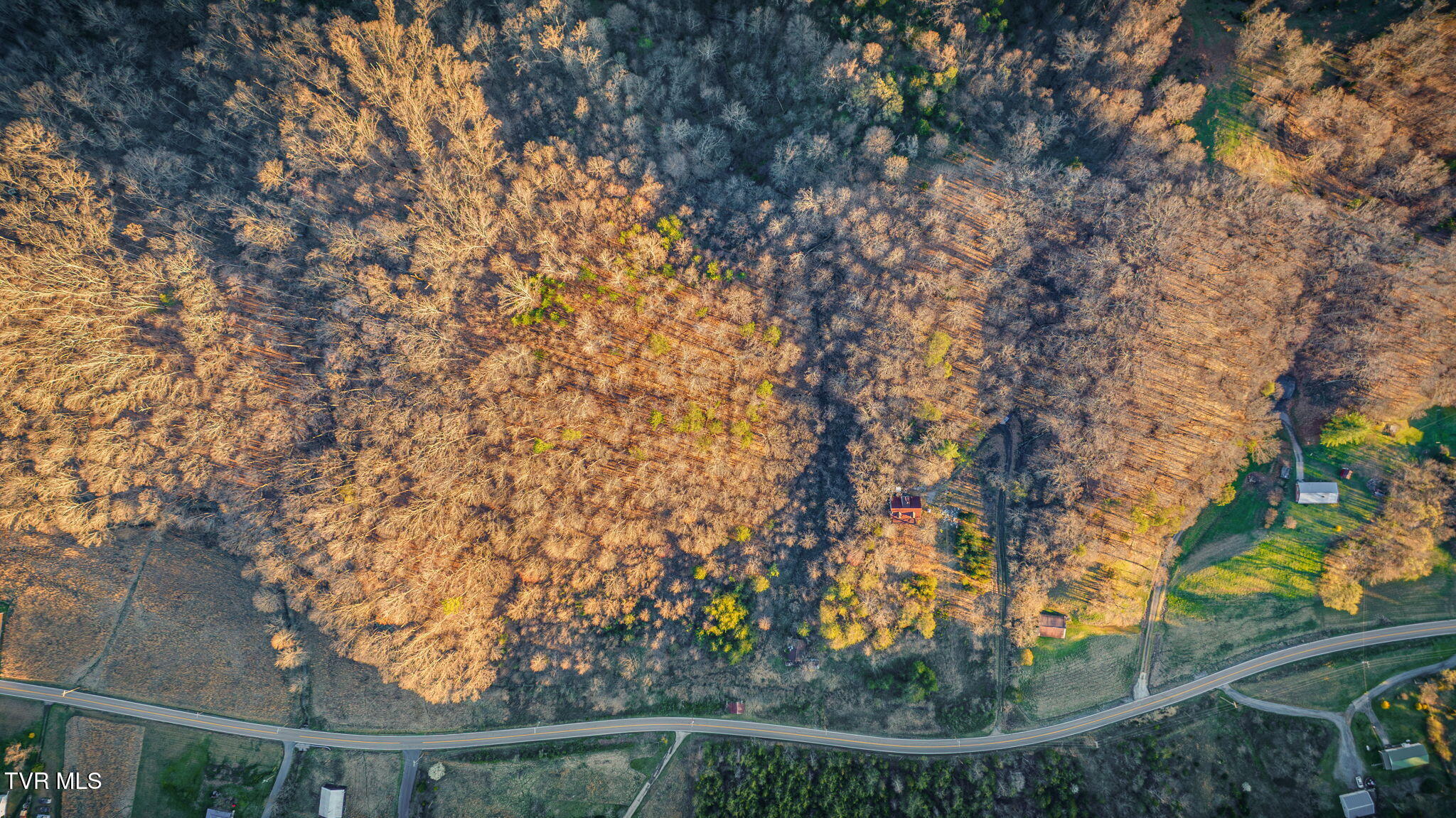 7389 Lone Star Road Kingsport, TN 37660 - Photo 8 of 11 105