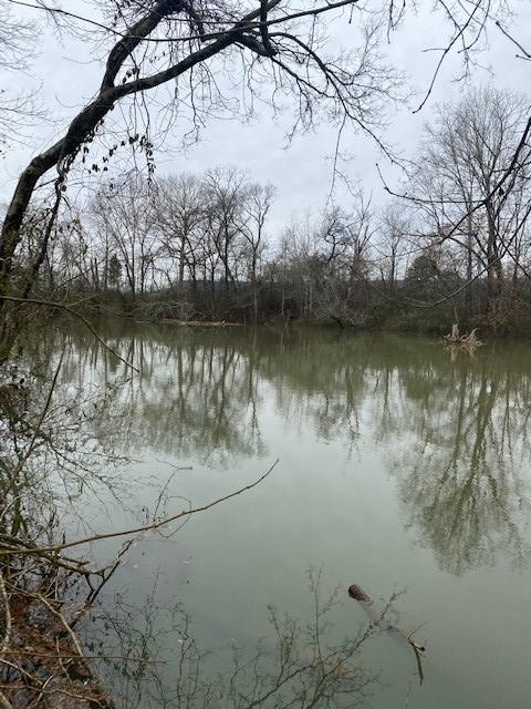 Lot T5 Canyon Road, Unit LOT T5 Jasper, TN 37347 - Photo 1 of 4 Canyon Lot 5b