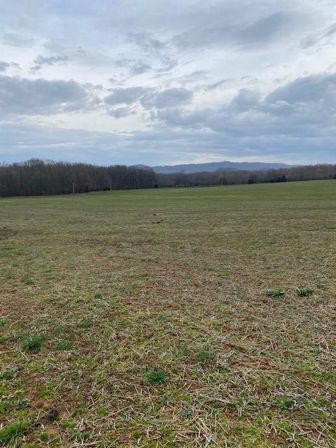 Lot T5 Canyon Road, Unit LOT T5 Jasper, TN 37347 - Photo 2 of 4 Canyon Lot 5
