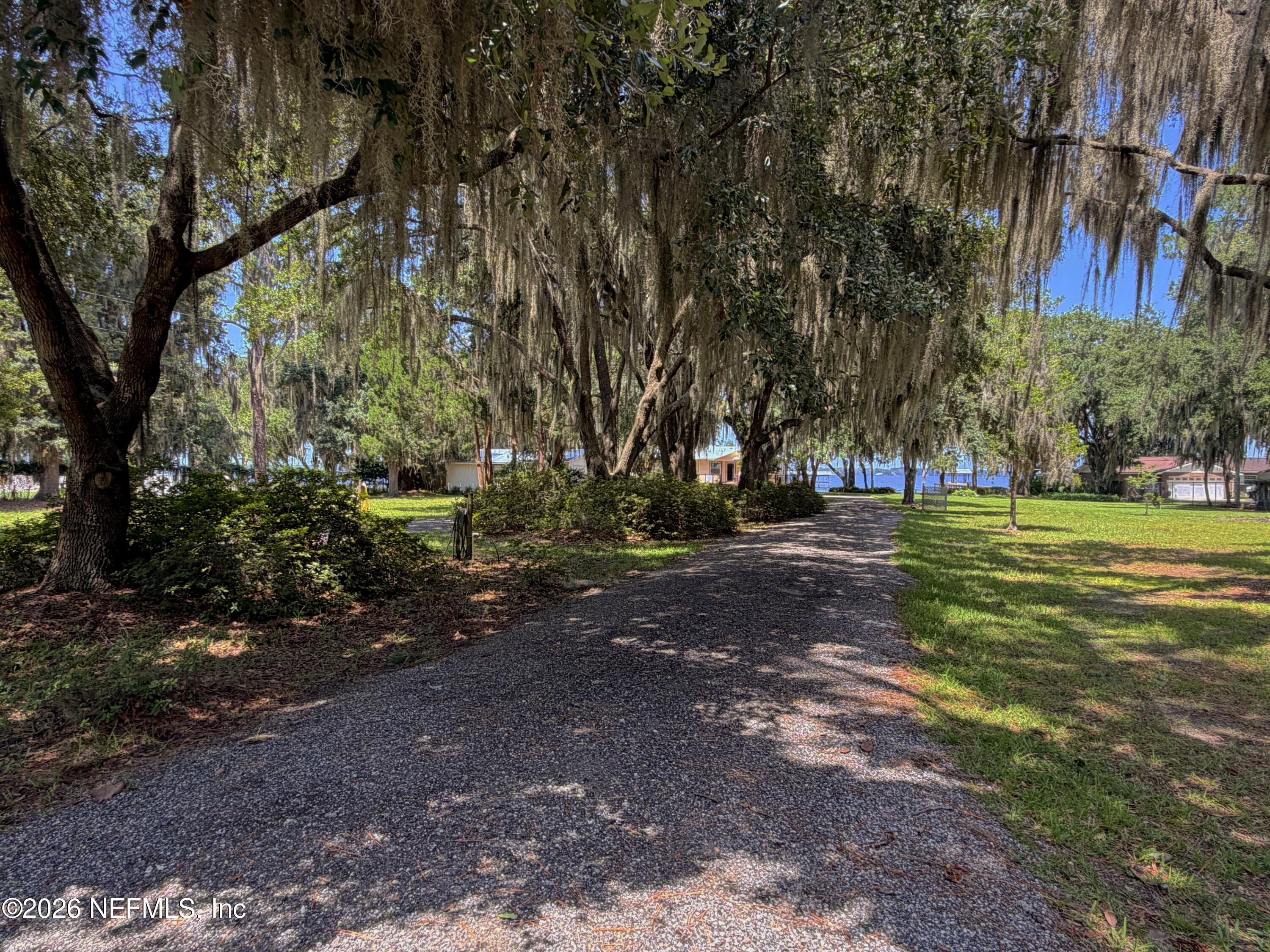 442 Cedar Creek Road Palatka, FL 32177 - Photo 26 of 57 Driveway (2)