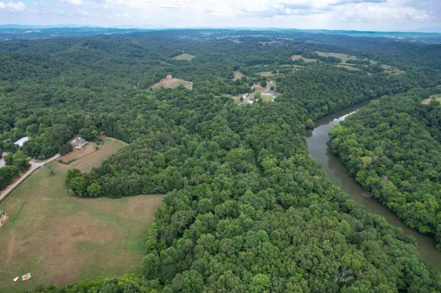 an aerial view of green landscape with trees houses and mountain view