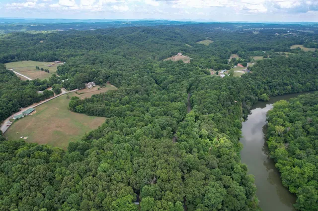 an aerial view of residential houses with outdoor space and trees