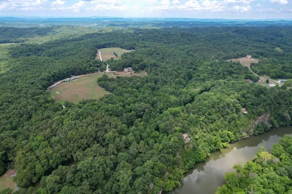a view of a city with lush green forest