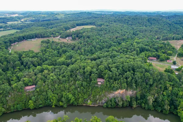 a view of a lush green forest with lots of trees