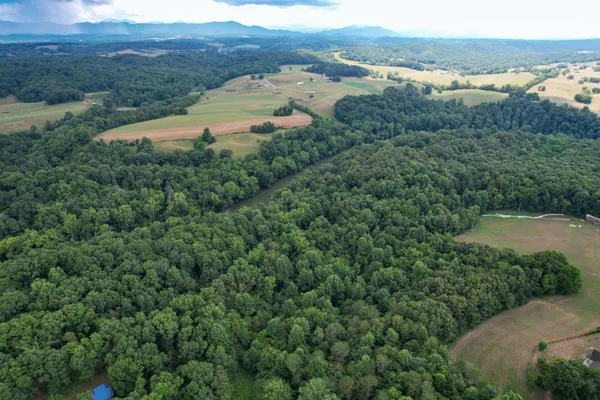 a view of a lake with a mountain