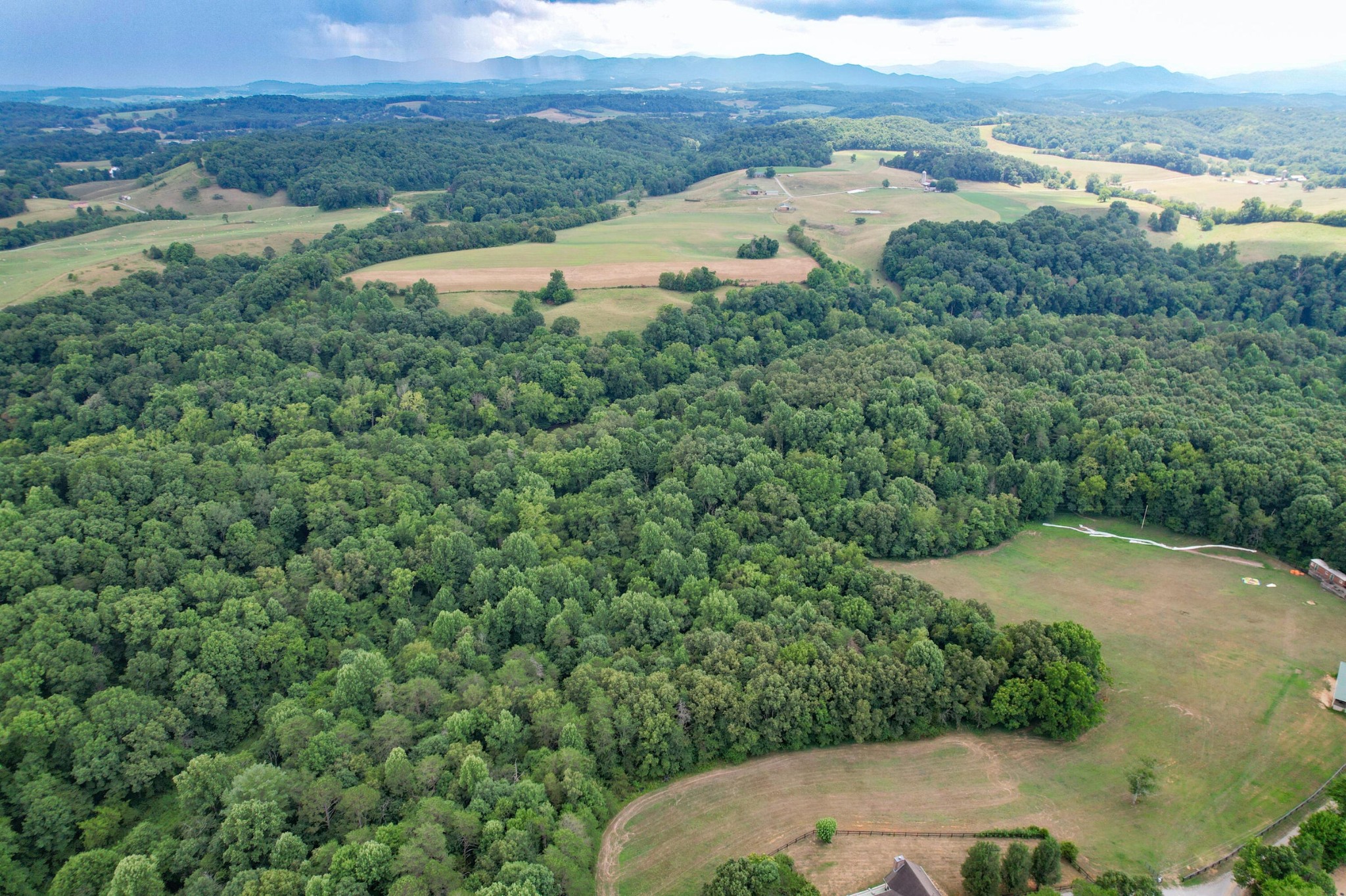1 Pates Hill Road Mosheim, TN 37818 - Photo 10 of 22 a view of a lake with green space