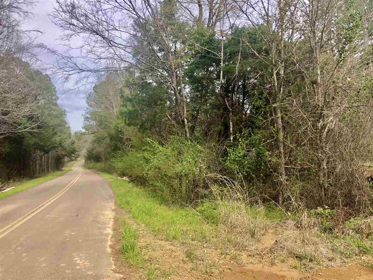 3178 Burt Loop Road Crystal Springs, MS 39059 - Photo 3 of 3 Photo 3