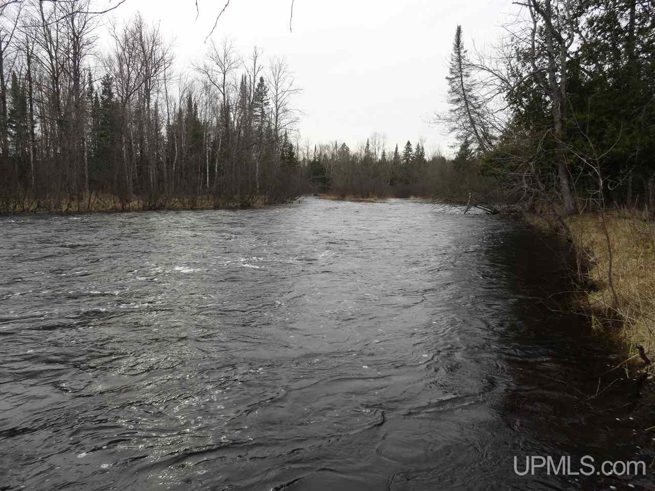44-acres Ford River Road Arnold, MI 49831 - Photo 5 of 36