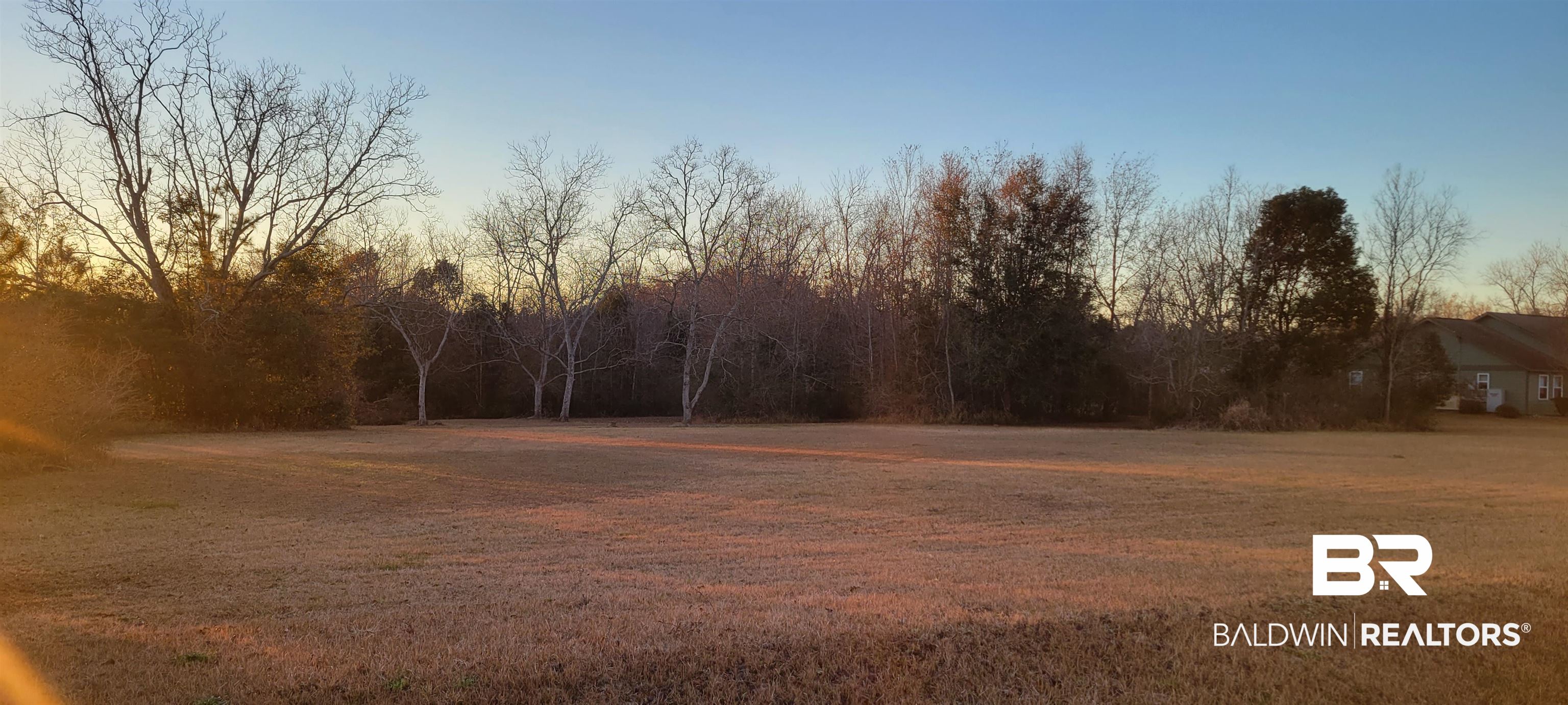 0 Diffee Road Grand Bay, AL 36541 - Photo 4 of 5