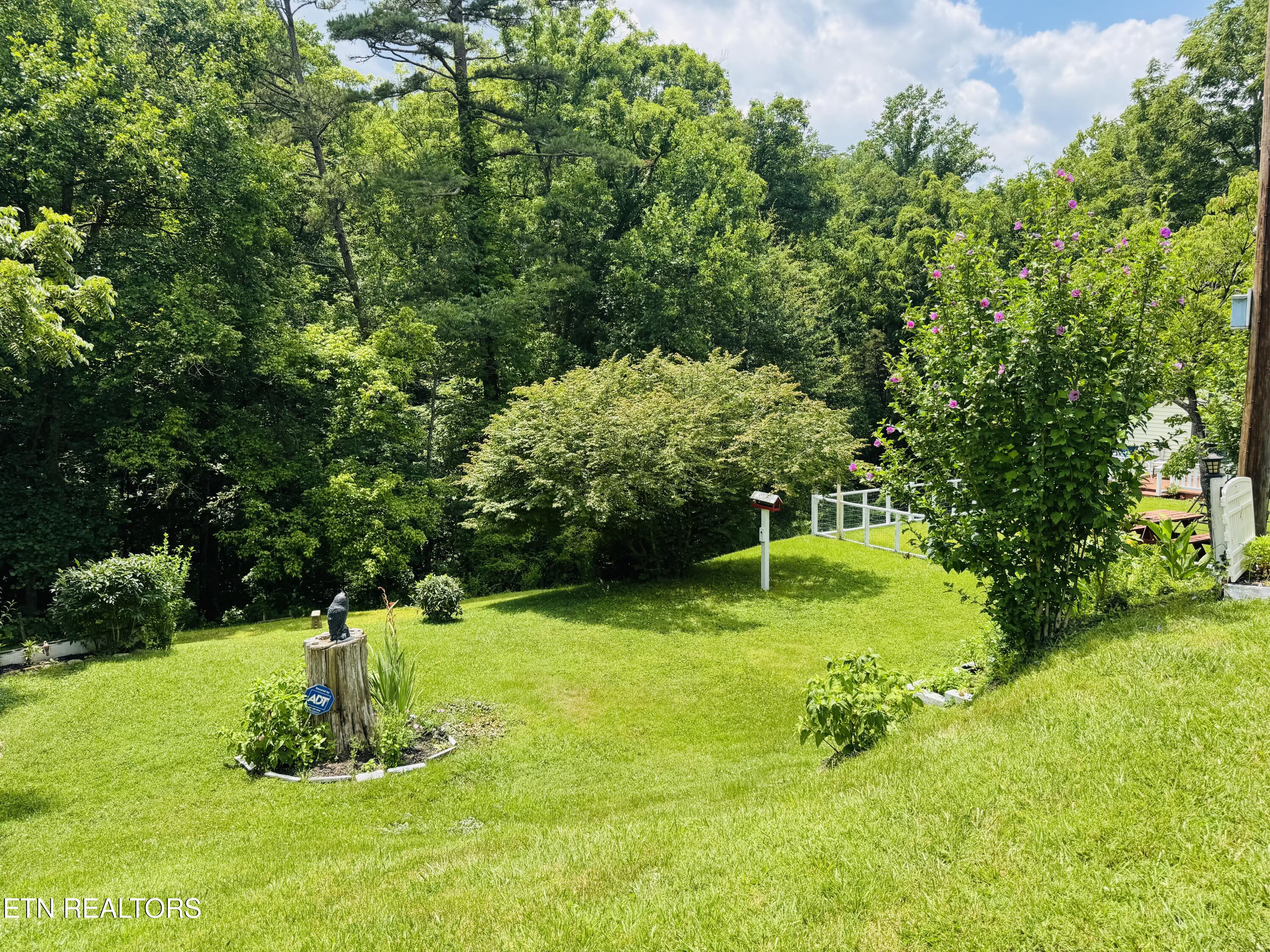 681 Island Cove Road Rocky Top, TN 37769 - Photo 35 of 47 IMG_5633
