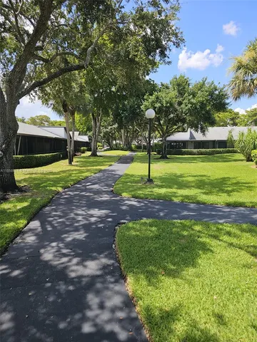 a view of a park with large trees