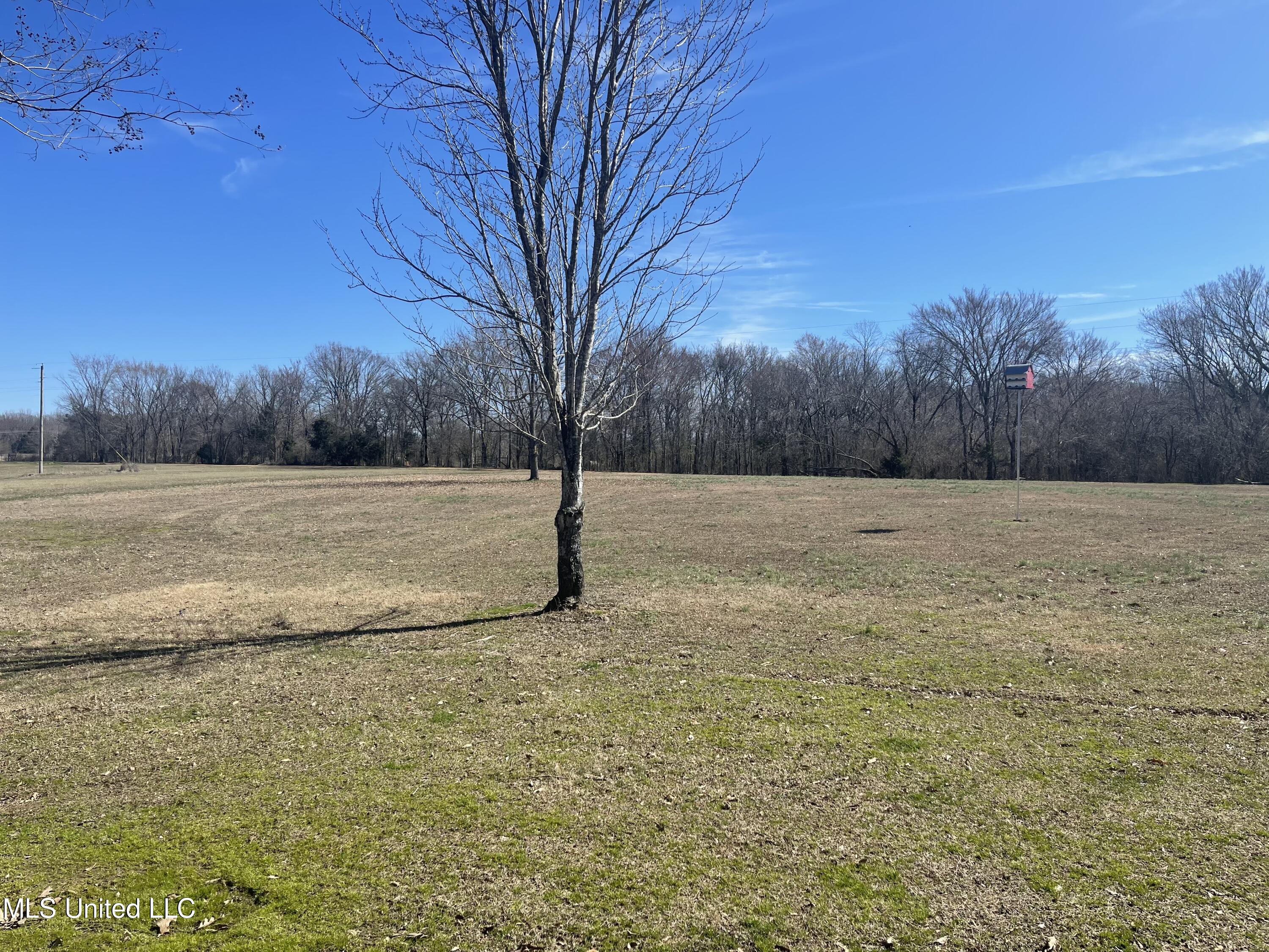 2844 Lyles Road Senatobia, MS 38668 - Photo 36 of 38 BF079A76-3877-4D4A-924C-56292F6363F8