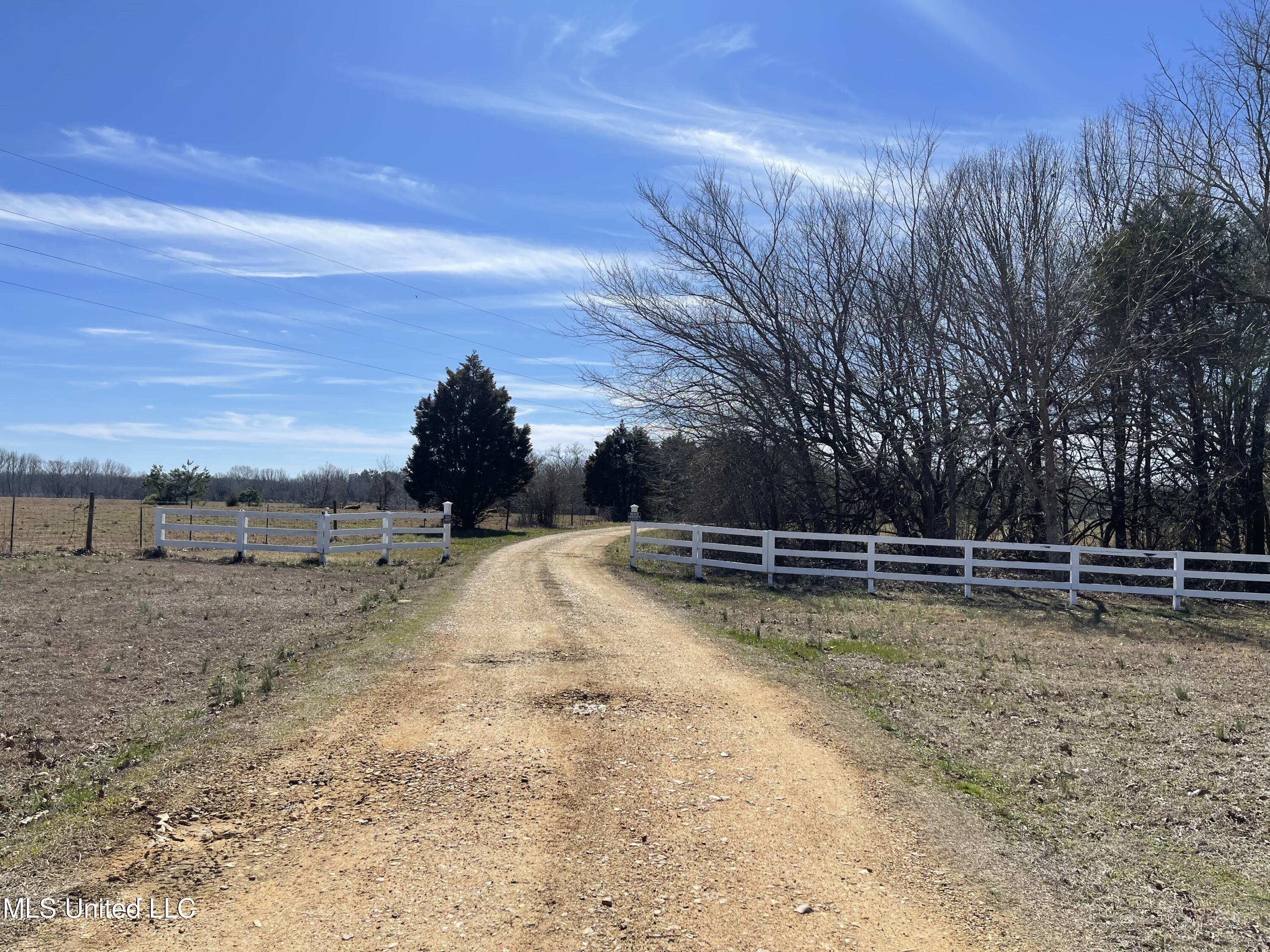 2844 Lyles Road Senatobia, MS 38668 - Photo 7 of 38 827C3E0C-0AB4-47D7-81F1-3693E908460B