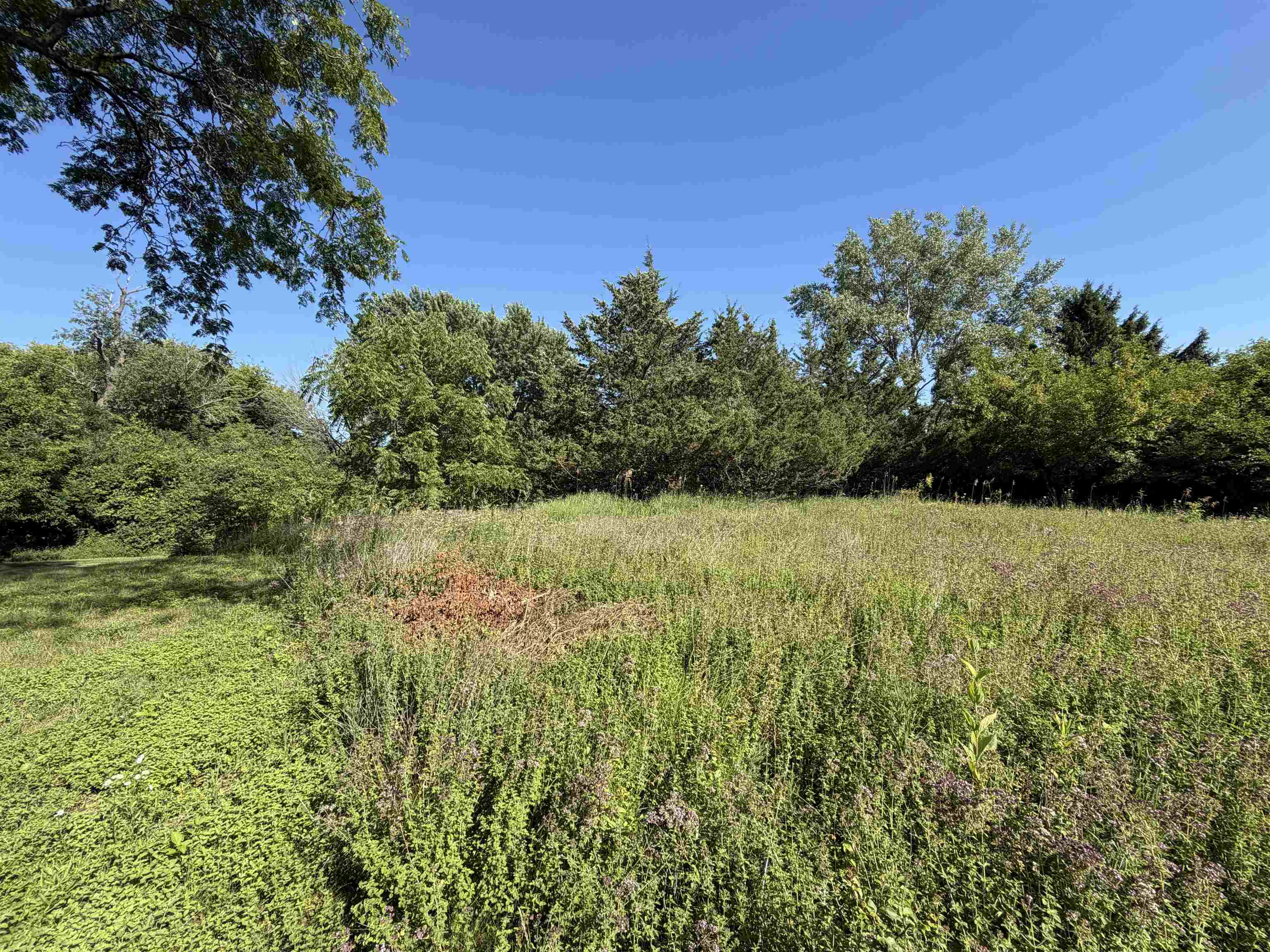 Lot 5 Sky High Poynette, WI 53955 - Photo 4 of 10