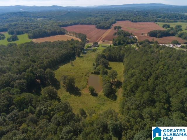 1165 Halls Chapel Road Alexandria, AL 36250 - Photo 4 of 38