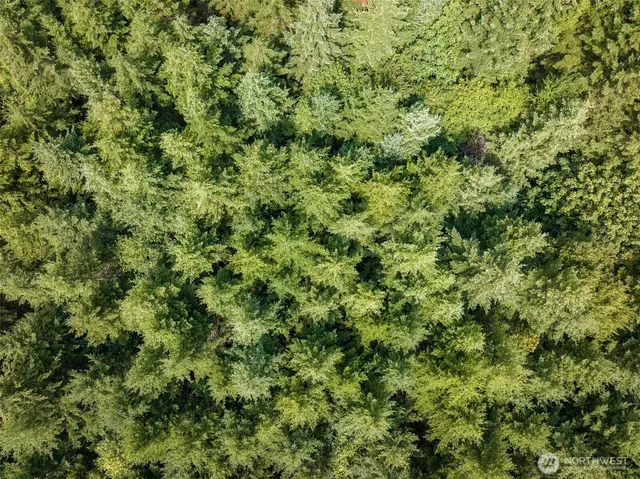 a view of a large yard with lots of green space