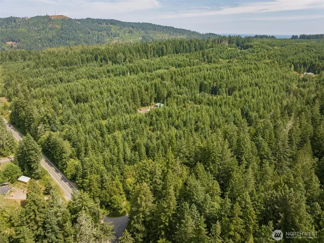 a view of a lush green forest with trees and some houses