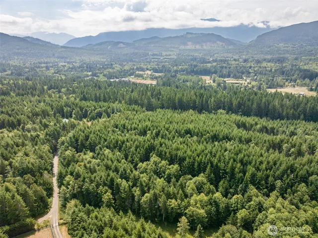 an aerial view of residential house with green space