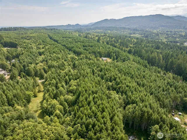a view of a lush green hillside and a houses