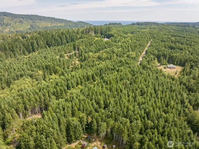 a view of a yard with an umbrella