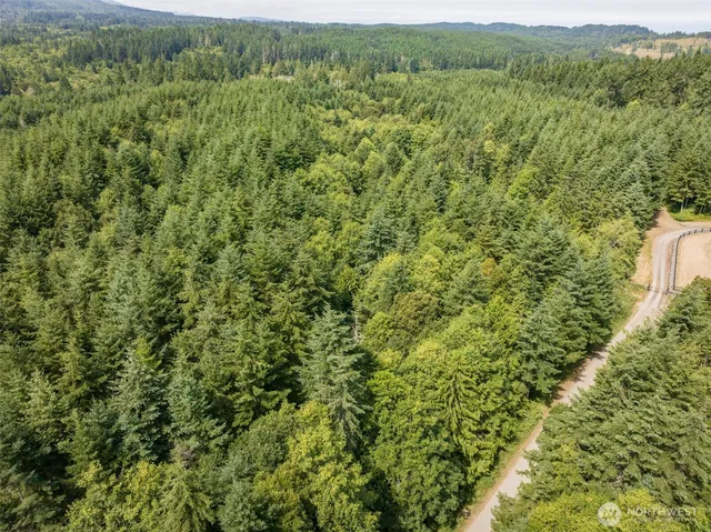 a view of a large yard with lots of green space