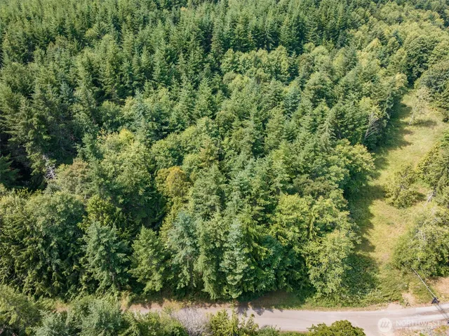 an outdoor view of a yard