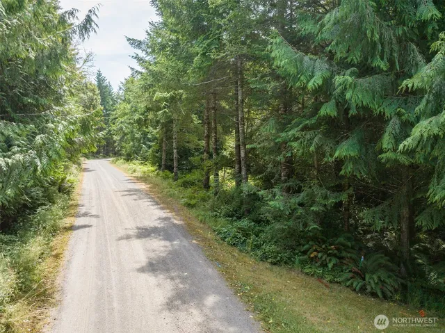 a view of a pathway of a park