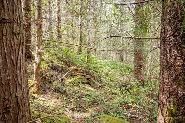 a bathroom with a shower curtain