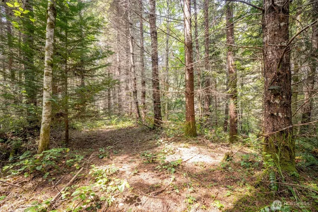 a view of backyard of a house