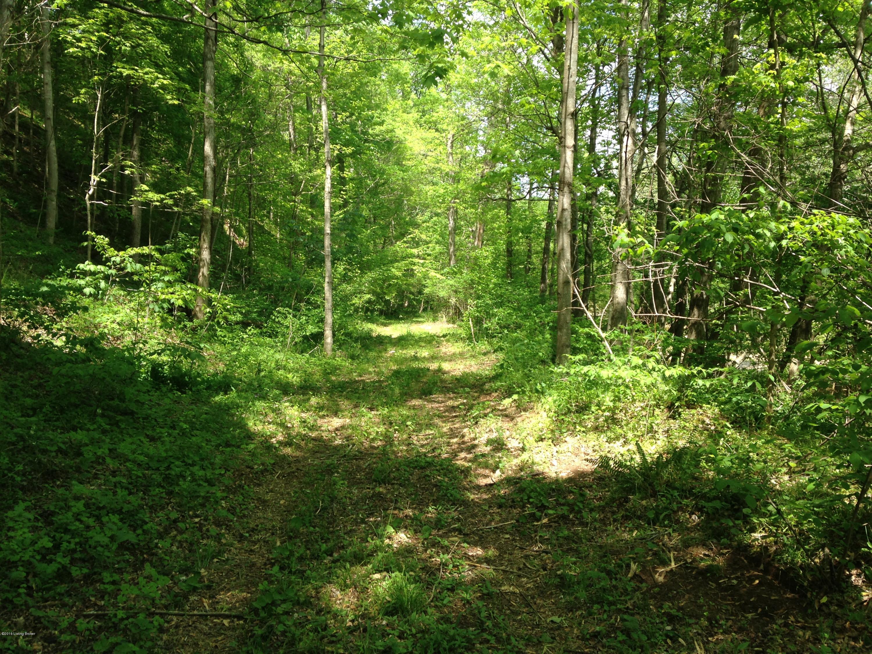 0 Anderson Perkins Road Edmonton, KY 42129 - Photo 5 of 10 IMG_0347