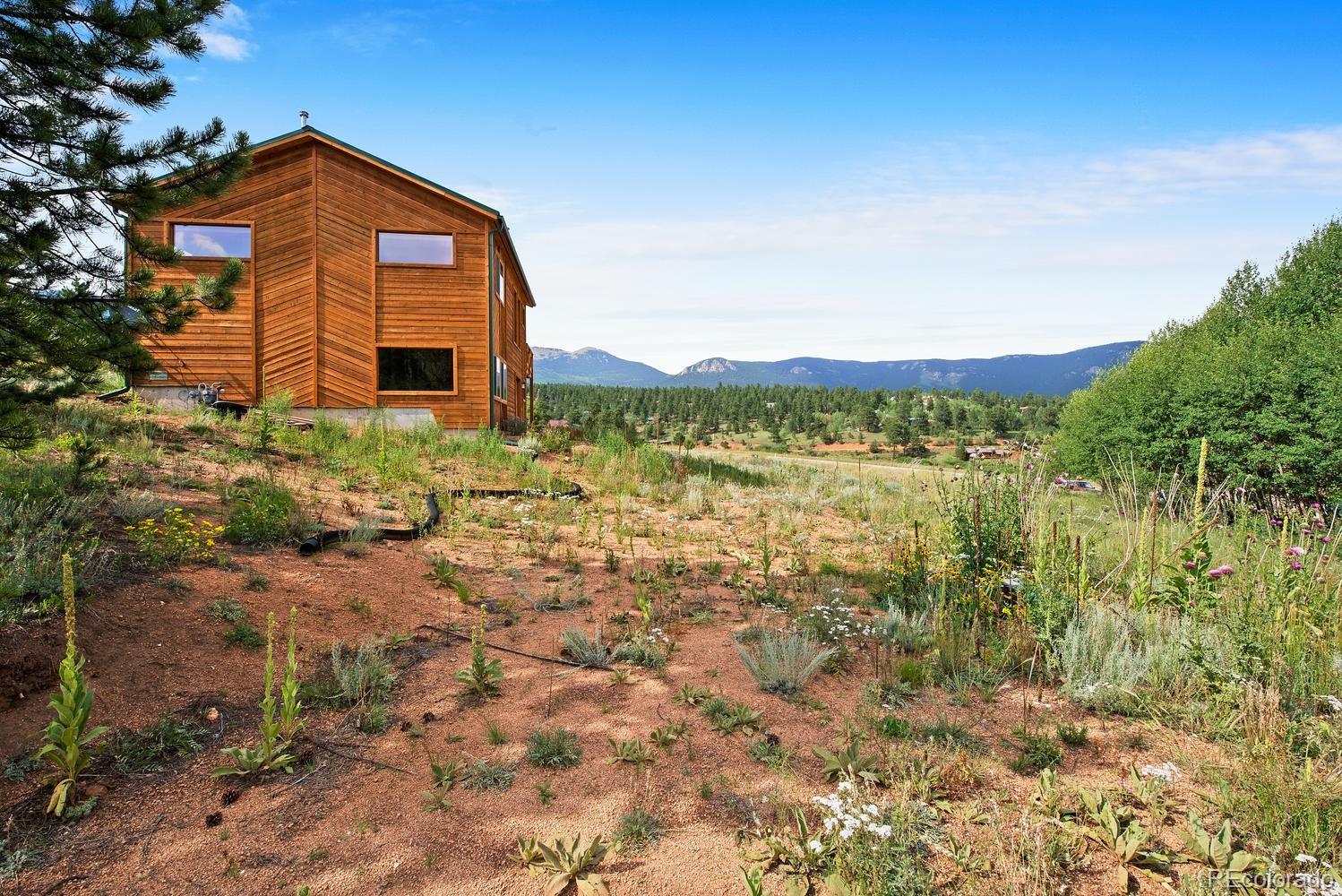 1328 Clark Road Bailey, CO 80421 - Photo 35 of 37 a view of a house with a yard