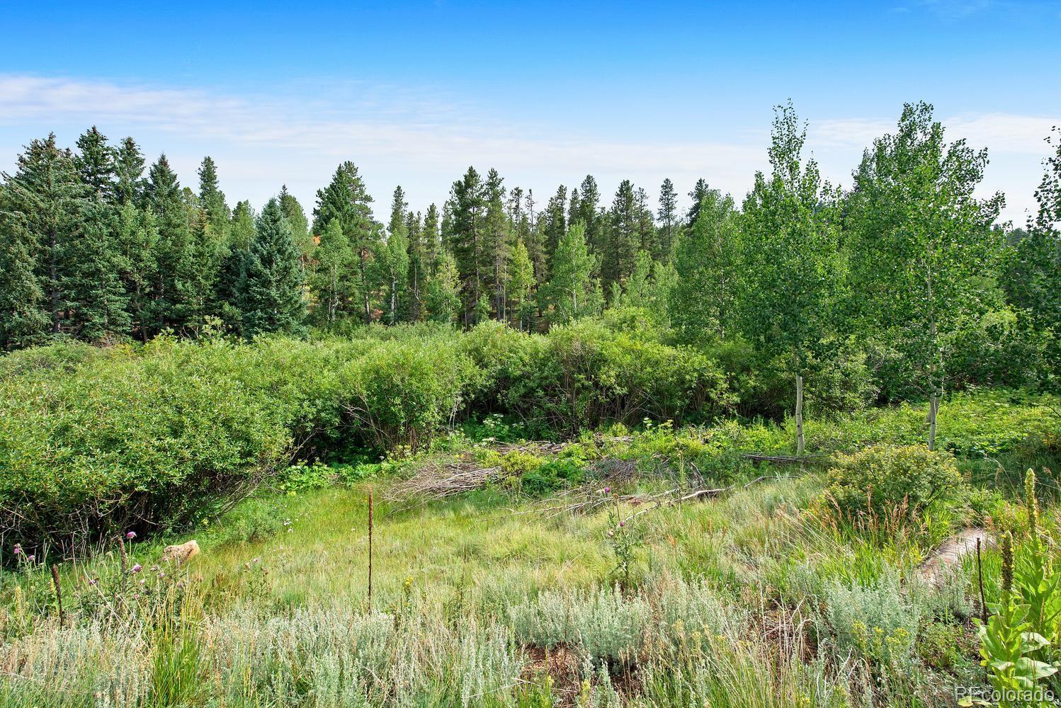1328 Clark Road Bailey, CO 80421 - Photo 4 of 37 a view of a lush green space