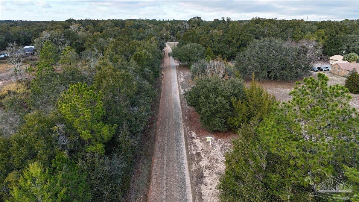Parcel B B Lowery Road Milton, FL 32583 - Photo 15 of 17
