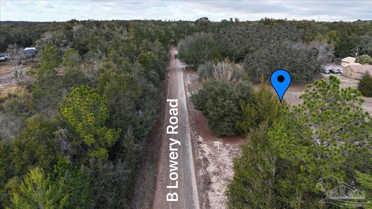 Parcel B B Lowery Road Milton, FL 32583 - Photo 3 of 17