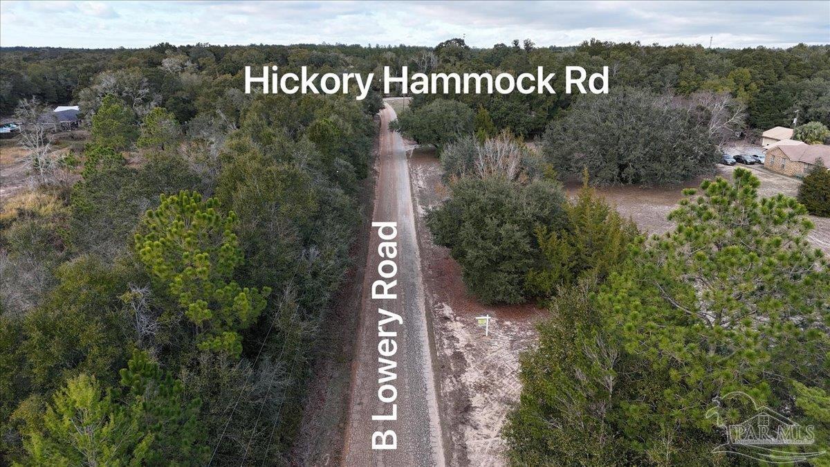 Parcel B B Lowery Road Milton, FL 32583 - Photo 4 of 17
