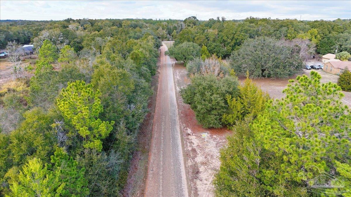 Parcel B B Lowery Road Milton, FL 32583 - Photo 5 of 17