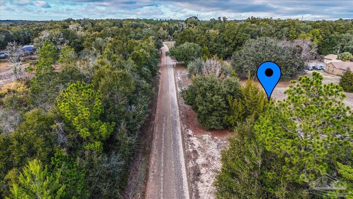 Parcel B B Lowery Road Milton, FL 32583 - Photo 10 of 17