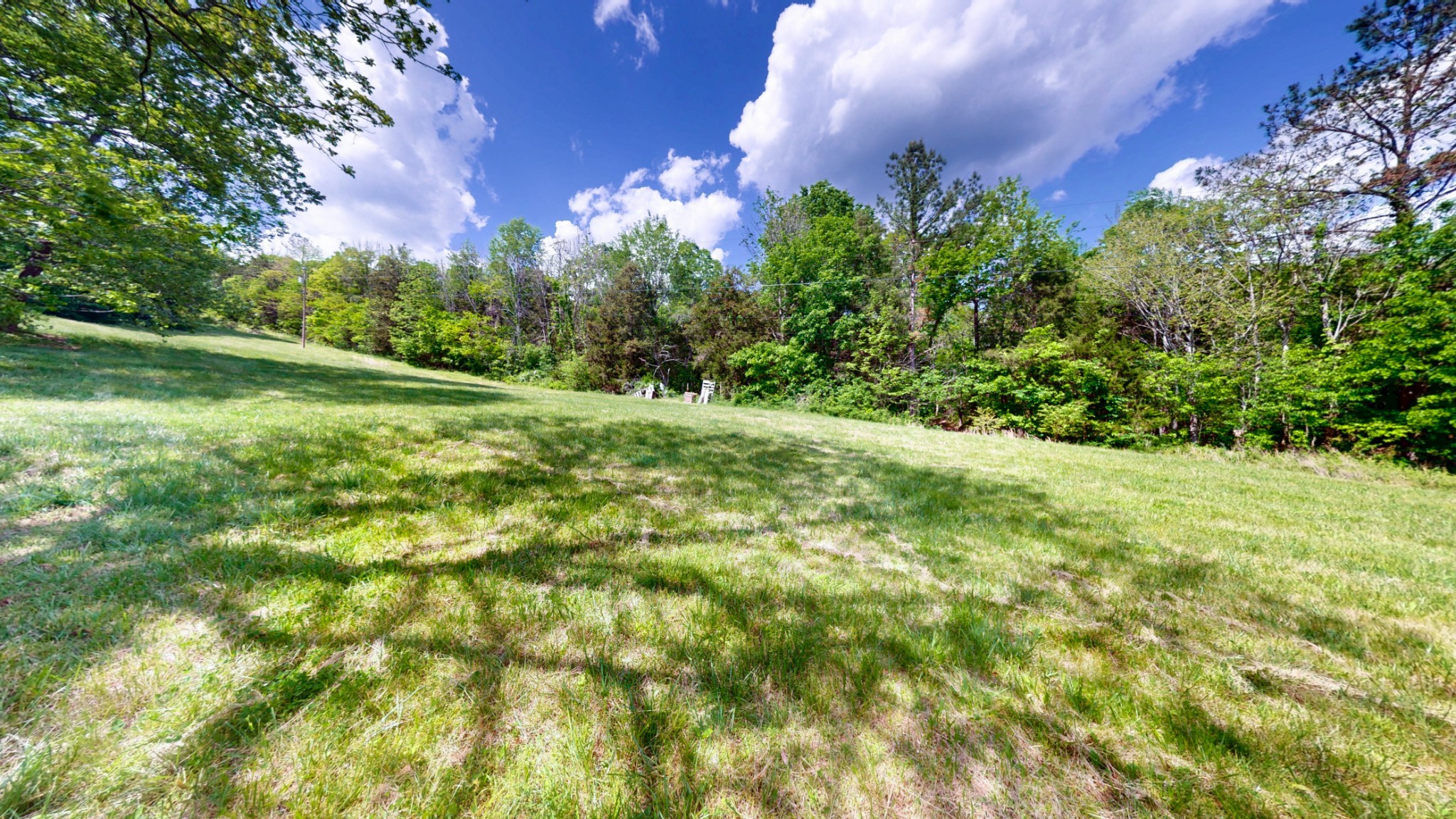 2517 Patton Hollow Road Watertown, TN 37184 - Photo 5 of 29