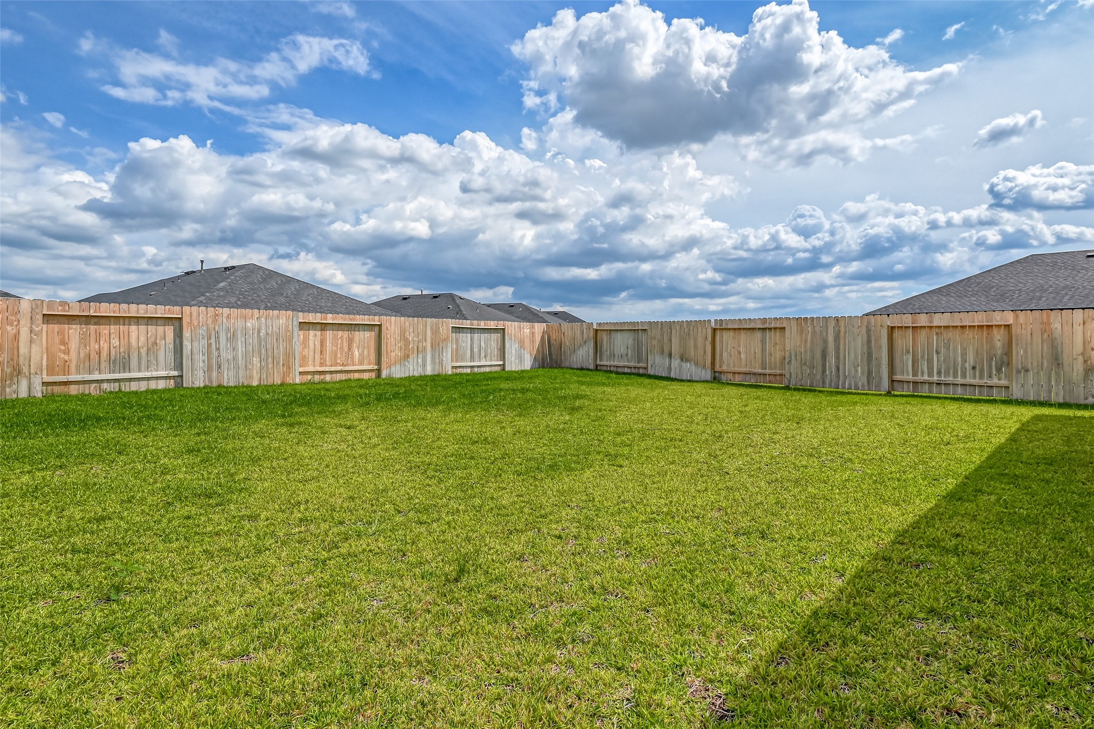 7531 Cynomys Court Rosharon, TX 77583 - Photo 45 of 49