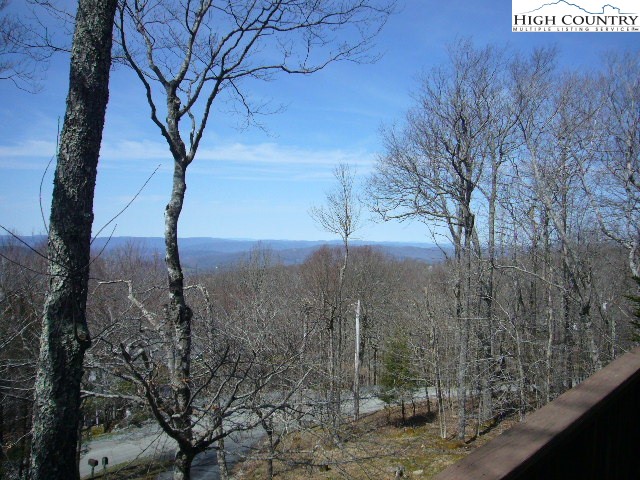 131 Raven Road Beech Mountain, NC 28604 - Photo 6 of 35 Gallery Image 6
