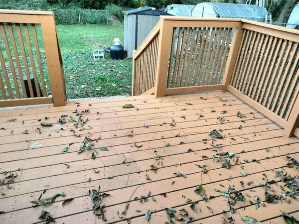 a view of a backyard with pathway